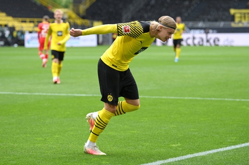 的全年旅程 的全年旅程